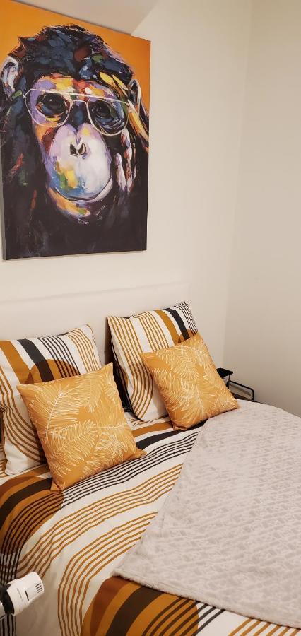 Triangle D'Or - Calme Et Cosy, Appartement 1 Chambre Saint-Quentin  Buitenkant foto